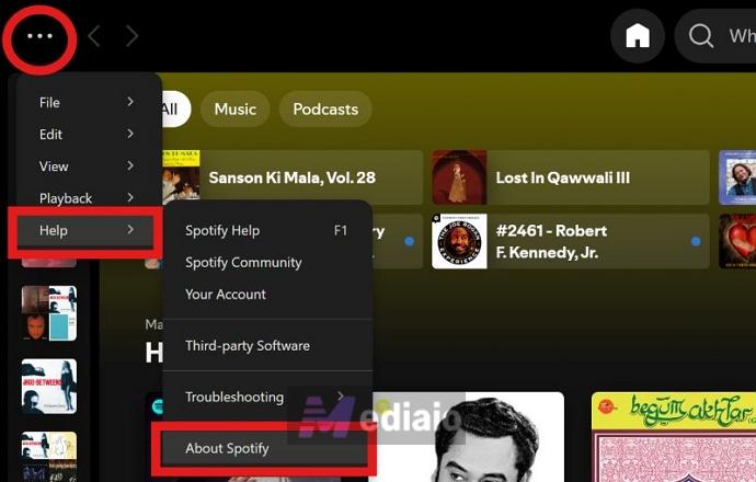 click About Spotify | Spotify Search Not Working