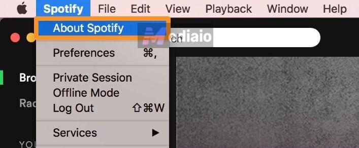 click Spotify | Spotify Search Not Working