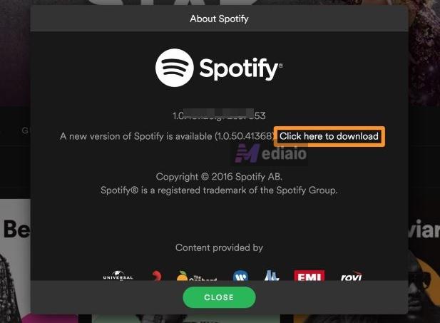 install updates | Spotify Search Not Working