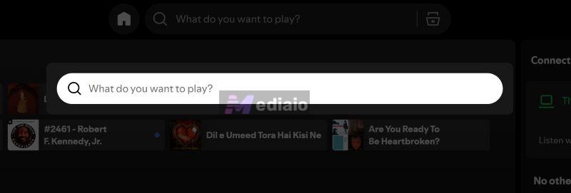 use Spotify’ quick search shortcut | Spotify Search Not Working