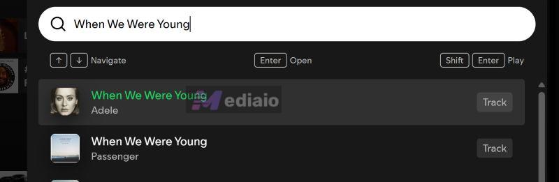find songs while troubleshooting | Spotify Search Not Working