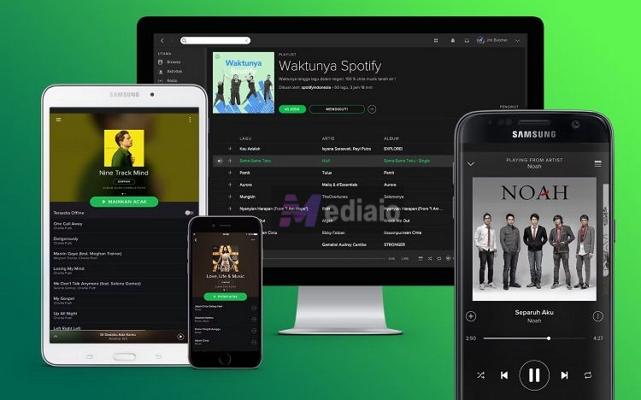 switch to Spotify web | Spotify Search Not Working