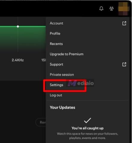 click Settings | Why Is Spotify So Slow