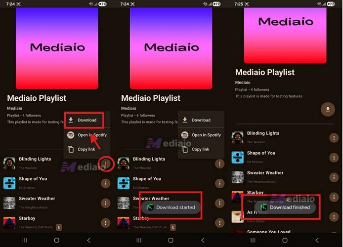 press three-dot menu | Spotify to FLAC