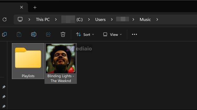 downloaded songs | Spotify to FLAC