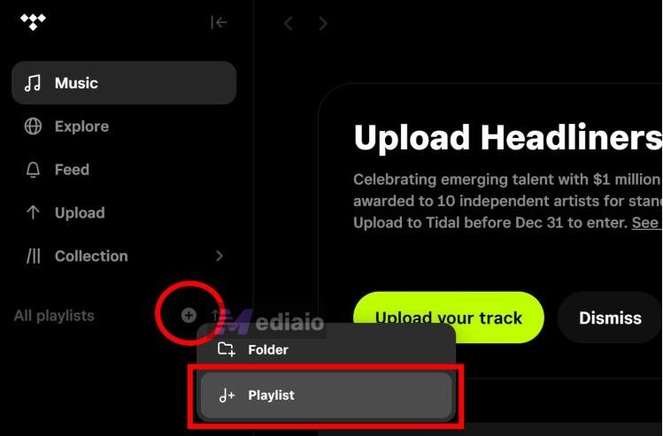 choose Playlist | Transfer Spotify Playlists to TIDAL