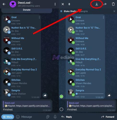 choose Save to Files | Download Music from Spotify to USB for Free