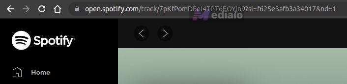 copy Spotify URL | Spotify Track Downloaders