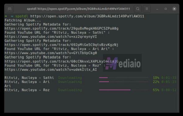save with spotDL | Spotify Track Downloaders