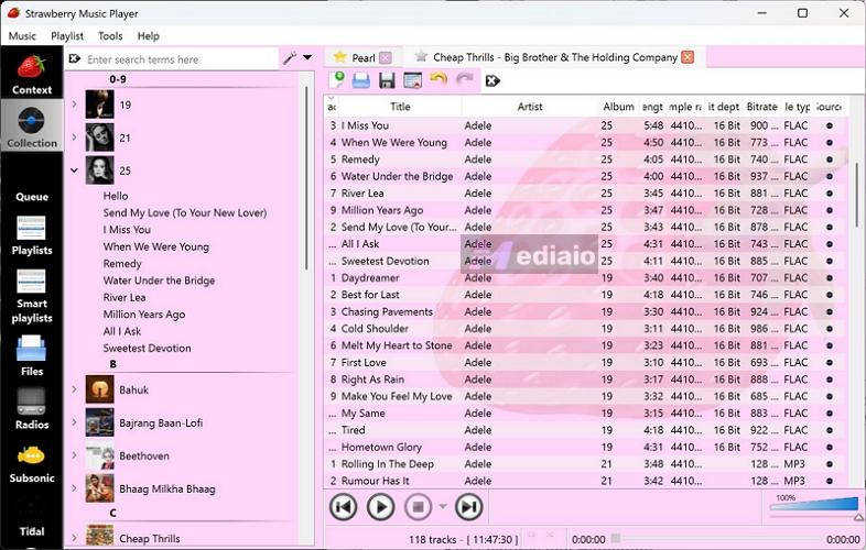 audio playback | Strawberry Music Player