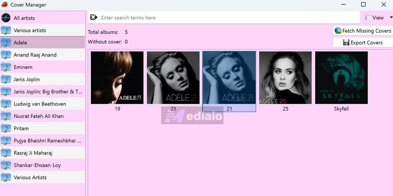 music organizer | Strawberry Music Player