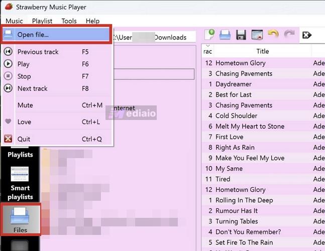 Files sidebar | Strawberry Music Player