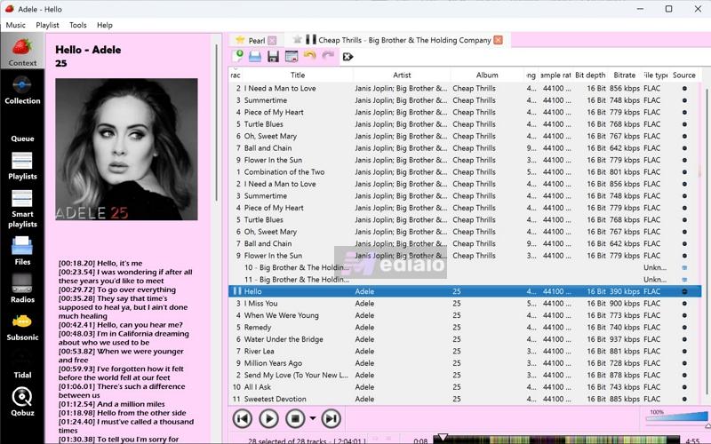 customization | Strawberry Music Player