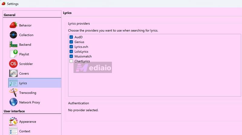 show lyrics | Strawberry Music Player