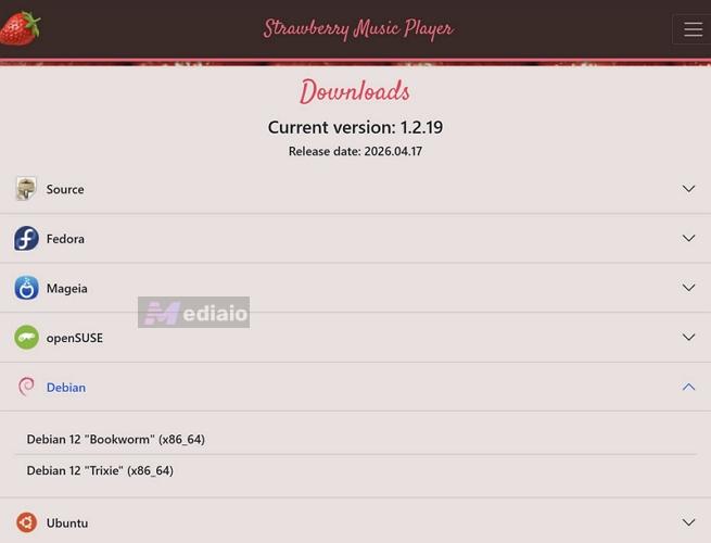 Linux | Strawberry Music Player