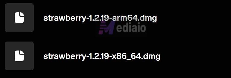 download dmg | Strawberry Music Player