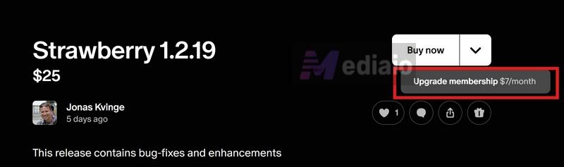 Windows installations | Strawberry Music Player