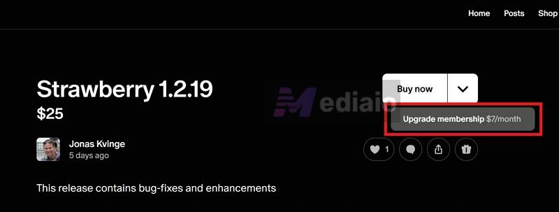 Buy now | Strawberry Music Player