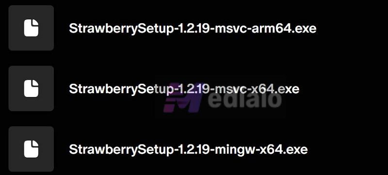 installer file | Strawberry Music Player