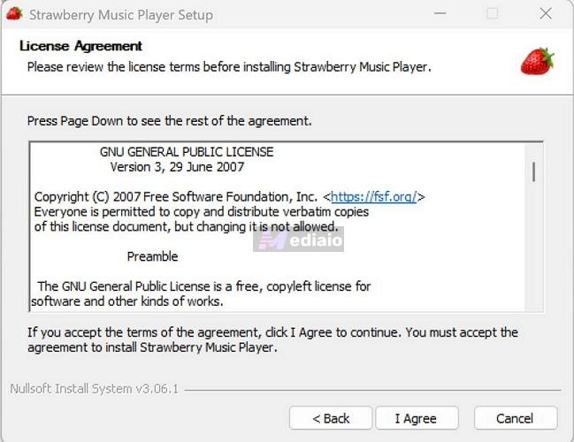 installation | Strawberry Music Player