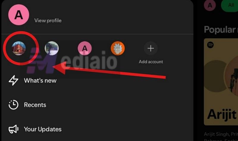 tap account picture | Add and Switch Accounts on Spotify