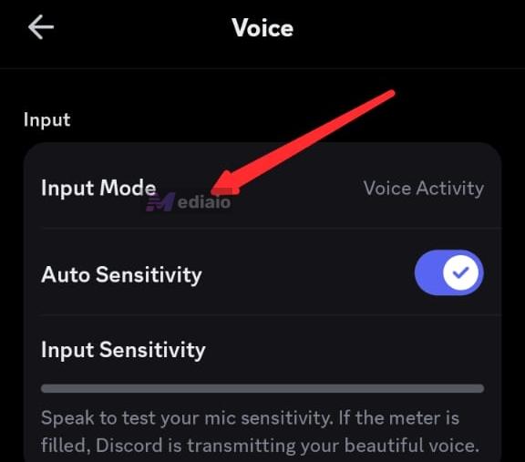 select Input Mode | Stop Discord from Pausing Spotify
