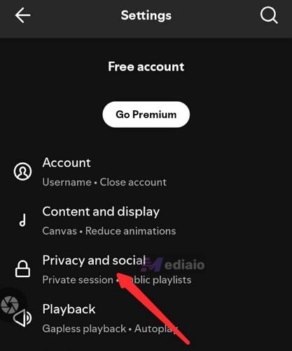 tap Privacy and Social | Stop Discord from Pausing Spotify