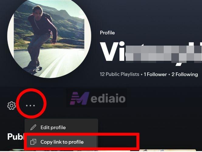 select Copy link to profile | Transfer Spotify Playlist to Another Spotify Account