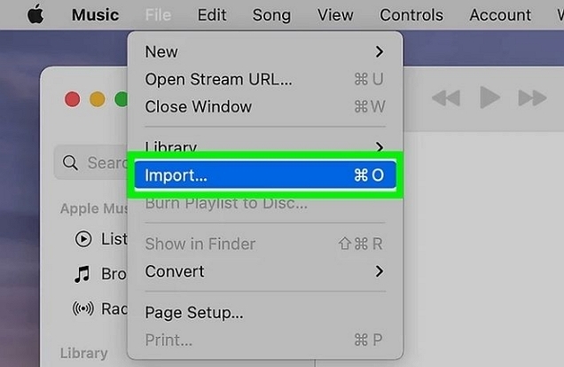 select Add to Library