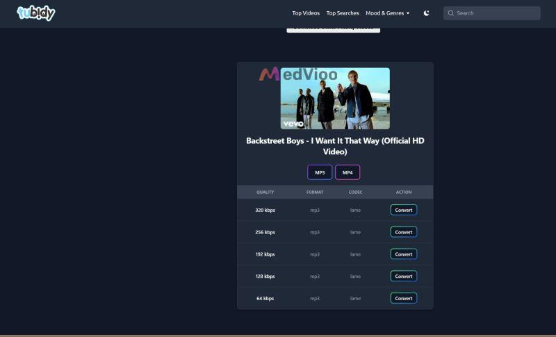 click Convert | Tubidy MP3 Music Downloader