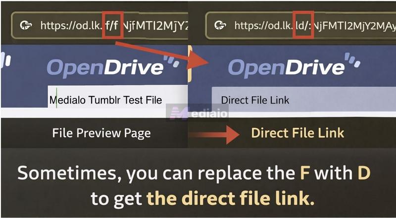 OpenDrive URL | Tumblr Music Players