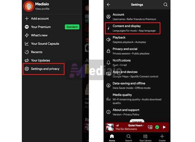open Content and display | What Does the E Mean on Spotify