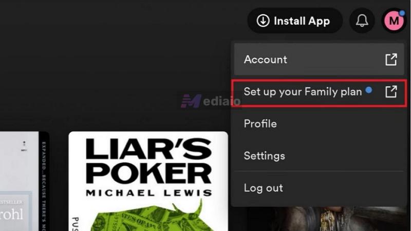 select Set up your Family plan | What Does the E Mean on Spotify