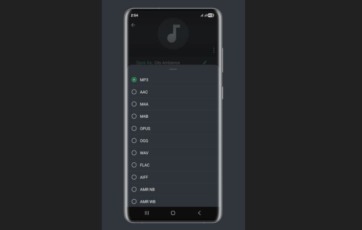choose output format | Best Audio Converters