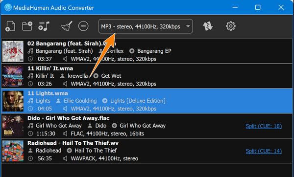 Format panel | Best Audio Converters