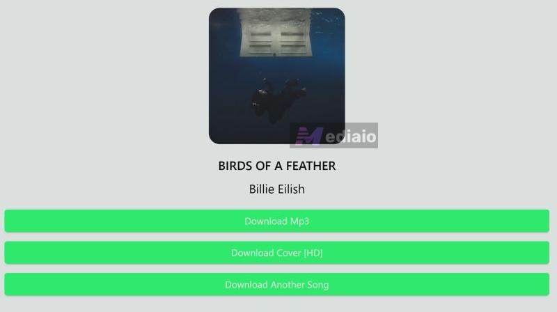 Download MP3 button | Best Audio Converters