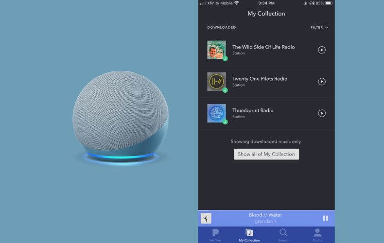 play Pandora on iPhone | Play Pandora on Alexa
