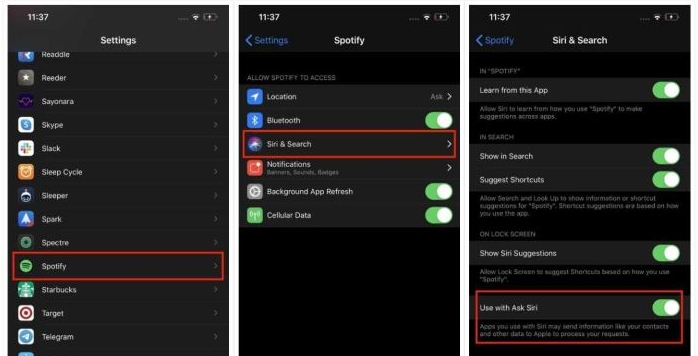 turn on Use with Ask Siri | Spotify on Apple CarPlay