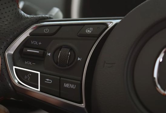 voice assistant button | Spotify on Apple CarPlay
