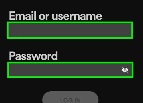 login scenarios | Change Spotify Username