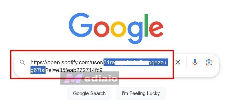 username in profile URL | Change Spotify Username