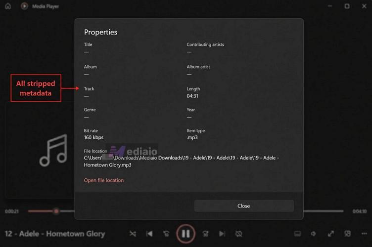 metadata handling | VLC Media Player Convert to MP3