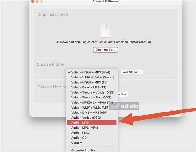 select MP3 | VLC Media Player Convert to MP3