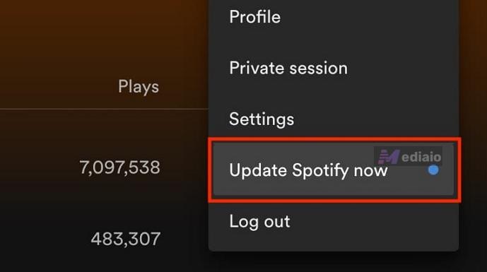 click avatar | Why Is Spotify So Slow