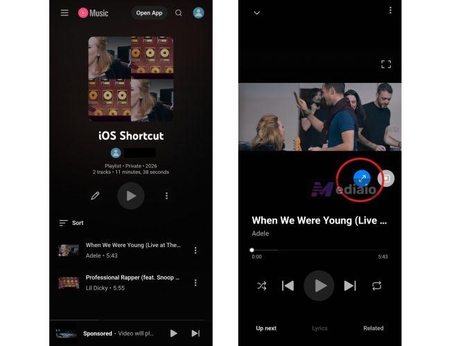 press Full-screen icon | Play YouTube Music in the Background